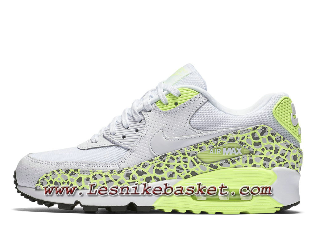 air max 90 premium femme